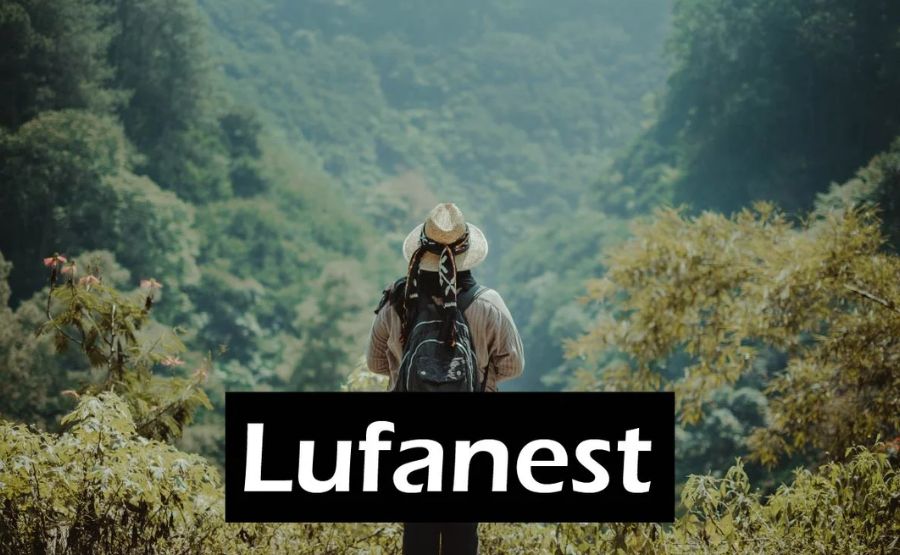 Lufanest: The Future of Smart Living and Innovation