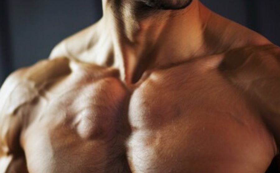 Buy Xeno Labs with Confidence – Why Athletes Prefer This High-Purity Steroid Brand