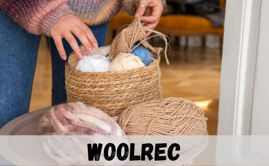 Step into Woolrec: Complete User-Friendly Guide