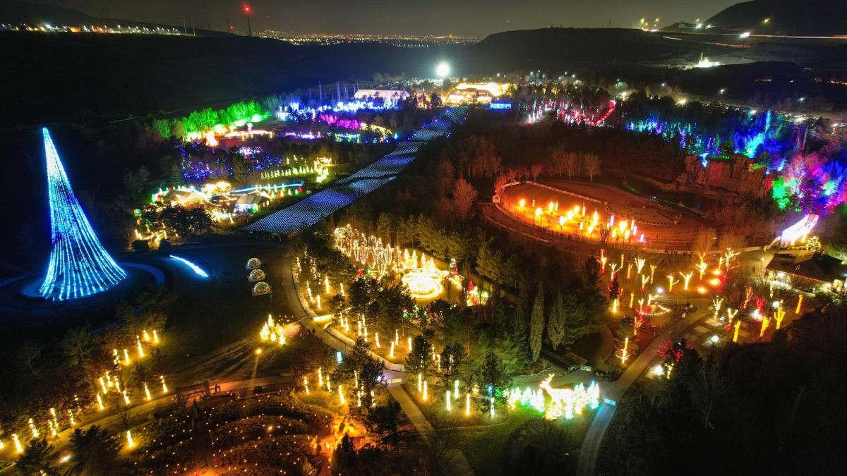 Transform Your Home into a Holiday Masterpiece with Valley Christmas Lights