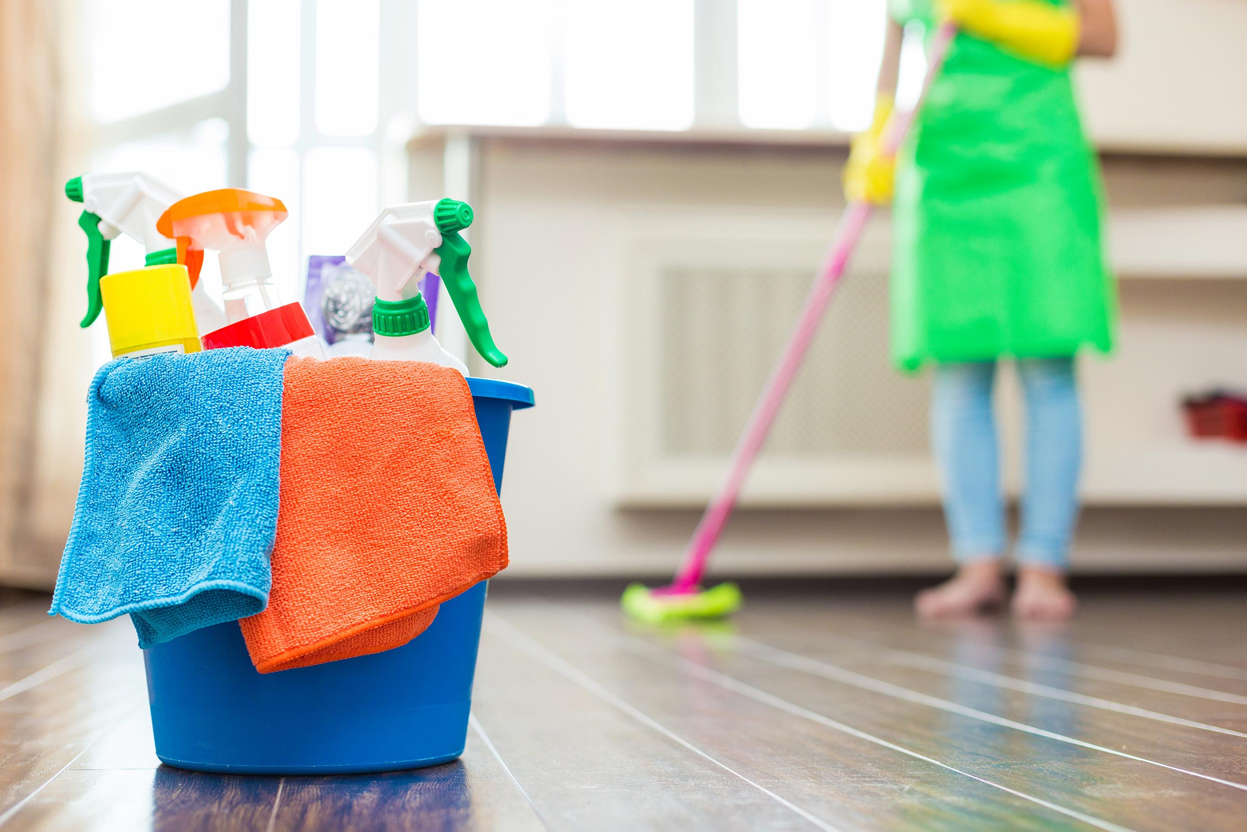House Cleaning Services