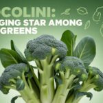 Crocolini: The Rising Star Among Supergreens