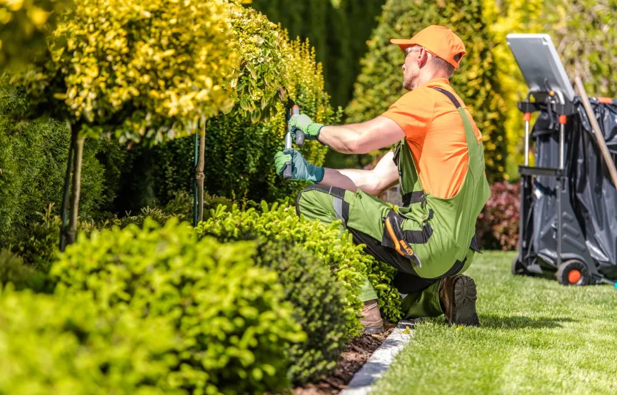 Why Your Lawn Deserves More Than a Corporate Service 3 Corporate Service