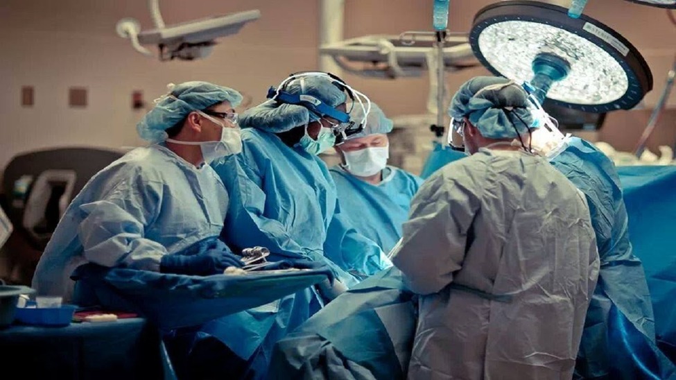 765ef8c7 1384 416c 98d5 721d249068b9