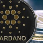 Cardano’s Hydra Turning Heads