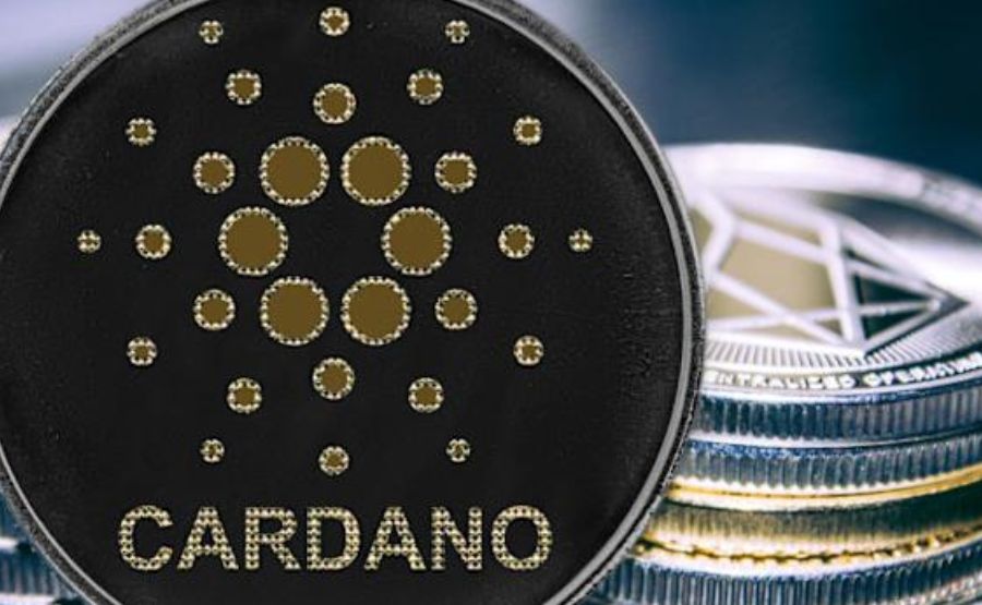 Cardano’s Hydra Turning Heads