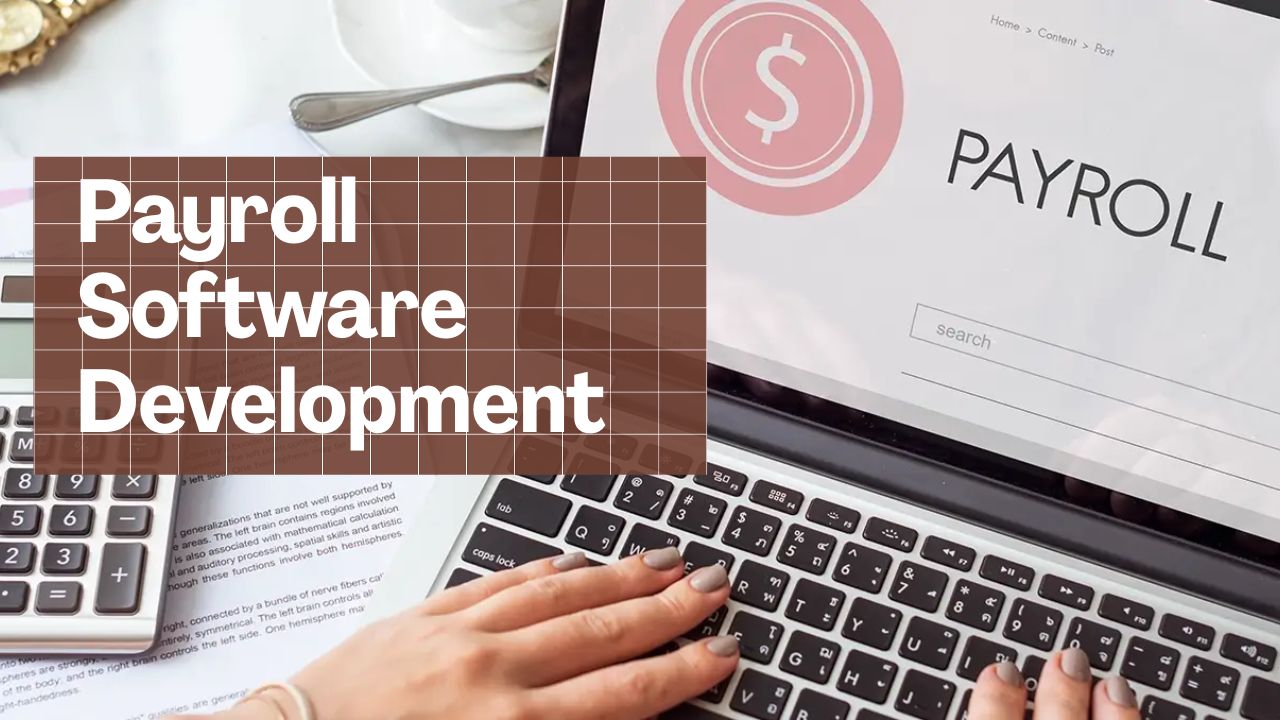Payroll Software Development
