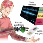 fnins 16 1020546 g001