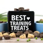 Fun and Functional Treats to Reward and Bond with Your Dog