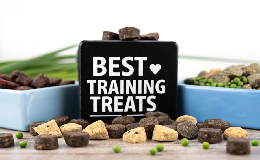 Fun and Functional Treats to Reward and Bond with Your Dog