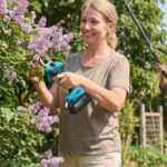 Deadheading Flowers Keeps a Backyard Garden Blooming Longer