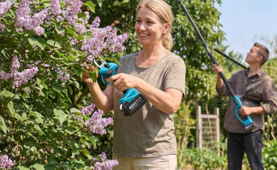 Deadheading Flowers Keeps a Backyard Garden Blooming Longer