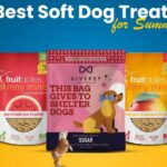 7 Summer Snacks That Are Good for Your Dog's Teeth and Safe to Share