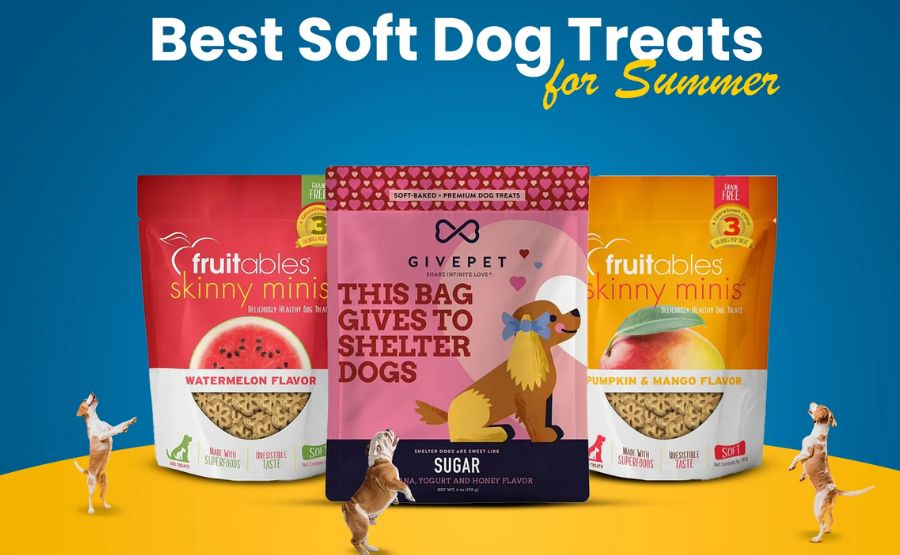 7 Summer Snacks That Are Good for Your Dog's Teeth and Safe to Share